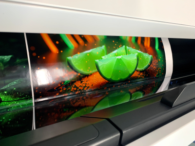 TISKÁRNA Epson SC-S9100  #11